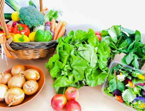bunt essen und Immunsystem stärken